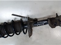 8200662265, 8200193018, 8200193020, 8200193022 Амортизатор подвески Renault Clio 1998-2008 7944289 #2