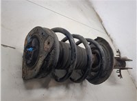 543020011R, 540090007R Амортизатор подвески Renault Laguna 3 2007- 7951539 #3