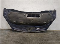 651000267R Капот Renault Espace 4 2002- 7960717 #5