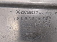 9620759077 Полка багажника Peugeot 406 1999-2004 8038599 #3