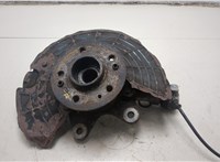 A1633300520 Ступица (кулак, цапфа) Mercedes ML W163 1997-2005 8038835 #7