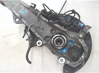 40014EG000, 40202EJ70B Ступица (кулак, цапфа) Infiniti G 2006-2013 8059893 #4