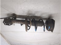 E43039U00C, 540109U00A Амортизатор подвески Nissan Note E11 2006-2013 8075702 #1
