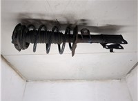 E4303JD01A, 54010JD02C Амортизатор подвески Nissan Qashqai 2006-2013 8094500 #4