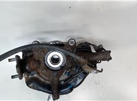 4355042020, 4333049095, 4778142040 Ступица (кулак, цапфа) Toyota RAV 4 2006-2013 8099832 #3