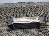  Радиатор интеркулера Peugeot 407 8100941 #3