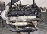 0135FK Двигатель (ДВС) Peugeot 406 1999-2004 8158590 #5