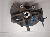 A1633300520, A1633340010 Ступица (кулак, цапфа) Mercedes ML W163 1998-2004 8174892 #7