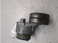 117507271R Натяжитель приводного ремня Renault Laguna 2 2001-2007 8213140 #5