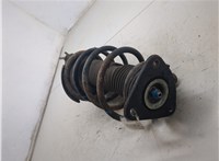 1681215, 4M5118K001ACF Амортизатор подвески Ford Focus 2 2008-2011 20318942 #5