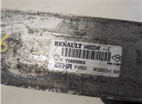 A4150900114 Радиатор интеркулера Mercedes Citan 20318994 #2