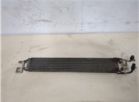  Радиатор АКПП Ford Focus 1 1998-2004 20319028 #1