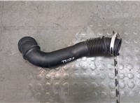  Патрубок корпуса воздушного фильтра Ford EcoSport 2017- 20319032 #1