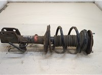  Амортизатор подвески Toyota Corolla Verso 2004-2009 20319097 #1