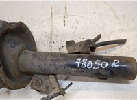  Амортизатор подвески Ford Focus 2 2008-2011 20319101 #3