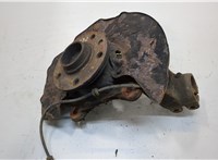 7H0498611, 7H0407258G, 7E0615312 Ступица (кулак, цапфа) Volkswagen Transporter 5 2003-2009 20319201 #1