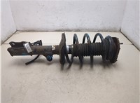 4852009890, 4813102841 Амортизатор подвески Toyota Corolla E12 2001-2006 20319258 #7