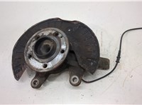  Ступица (кулак, цапфа) Mercedes Vito W639 2004-2013 20319281 #1