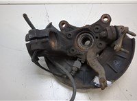 1T0498621, 1K0407255N, 1K0615311F Ступица (кулак, цапфа) Audi A3 (8P) 2003-2013 20319314 #4