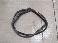  Уплотнитель BMW 5 F07 Gran Turismo 2009-2013 20319588 #1