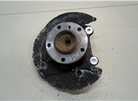  Ступица (кулак, цапфа) BMW 3 E90, E91, E92, E93 2005-2012 20319678 #1