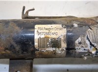 9672655480 Амортизатор подвески Citroen C3 2009-2013 20319685 #3