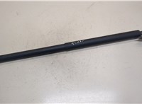  Амортизатор крышки багажника Ford Mondeo 5 2015- 20319908 #1