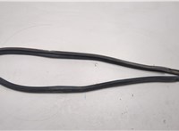  Уплотнитель Subaru Tribeca (B9) 2004-2007 20320074 #1