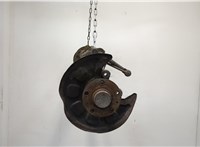 Ступица (кулак, цапфа) Volkswagen Caddy 2004-2010 11358404 #5