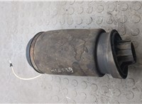 A2513200325 Пневмоподушка Mercedes R W251 2005-2017 20320648 #5