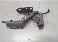  Петля капота Ford Focus 2 2005-2008 20320845 #1
