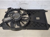  Вентилятор радиатора Ford C-Max 2002-2010 20321273 #5