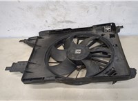  Вентилятор радиатора Renault Scenic 2003-2009 20321336 #1