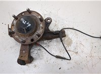  Ступица (кулак, цапфа) Hyundai H-1 Starex 2007-2015 20321875 #1