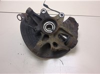 A1633340010, A1633300520 Ступица (кулак, цапфа) Mercedes ML W163 1998-2004 20321877 #7