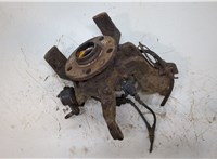  Ступица (кулак, цапфа) Skoda Octavia (A5) 2004-2008 20321879 #1