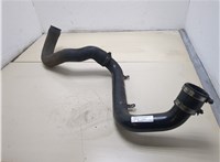  Патрубок интеркулера Audi A6 (C5) 1997-2004 20322501 #1