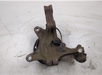  Ступица (кулак, цапфа) Hyundai H-1 Starex 2007-2015 20323064 #2
