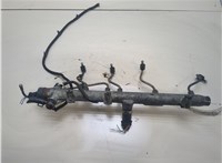  Рампа (рейка) топливная Hyundai Santa Fe 2000-2005 20323489 #4
