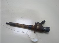 9657144580 Форсунка топливная Ford Focus 2 2005-2008 20323548 #1