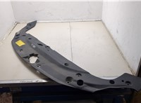  Накладка замка капота Lexus CT 2010-2014 20321996 #2