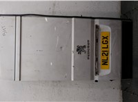 8702F8 Дверь задняя (распашная) Peugeot Boxer 2014-2025 20325260 #2