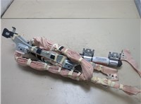  Подушка безопасности боковая (шторка) Toyota RAV 4 2000-2005 20325709 #1