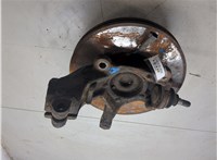 2167069, 2025972, 2110200 Ступица (кулак, цапфа) Ford Transit 2014-2025 20326024 #3