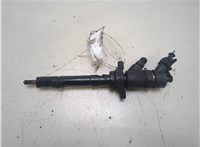  Форсунка топливная Ford Focus 2 2005-2008 20326741 #1