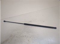  Амортизатор капота Volkswagen Passat 6 2005-2010 20326965 #1