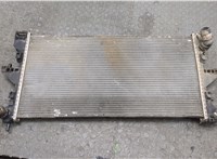 1382421080, EZ237001 Радиатор охлаждения двигателя Peugeot Boxer 2014-2025 20327027 #1