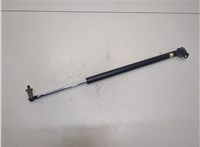 Амортизатор крышки багажника Mitsubishi Grandis 20327075 #1