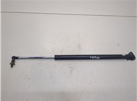  Амортизатор крышки багажника Mitsubishi Grandis 20327075 #2
