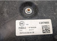 LB479003, 0204245 Вентилятор радиатора Citroen Jumper (Relay) 2014-2025 20327143 #2